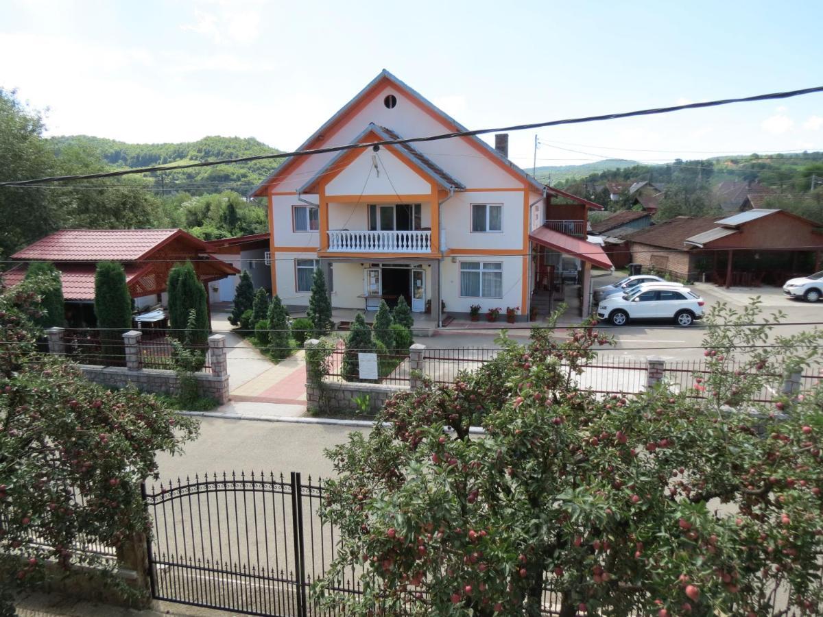 Pensiunea Cetina Brád Kültér fotó
