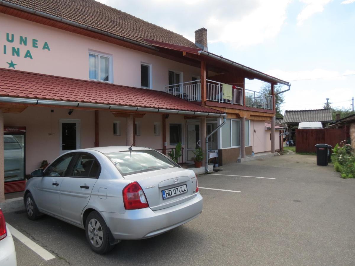 Pensiunea Cetina Brád Kültér fotó