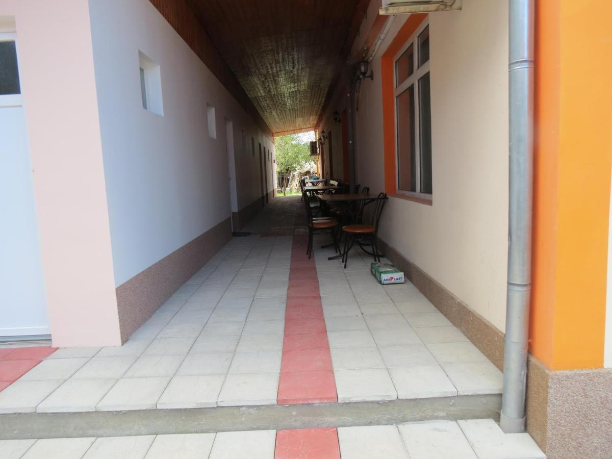 Pensiunea Cetina Brád Kültér fotó