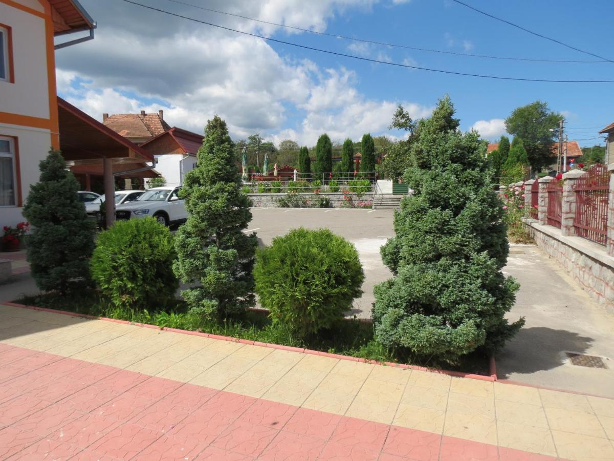 Pensiunea Cetina Brád Kültér fotó