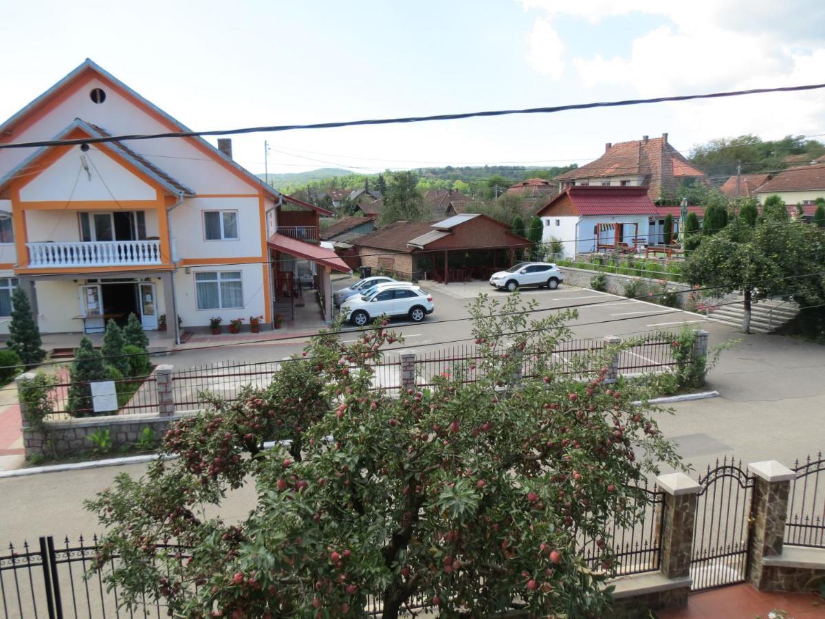 Pensiunea Cetina Brád Kültér fotó