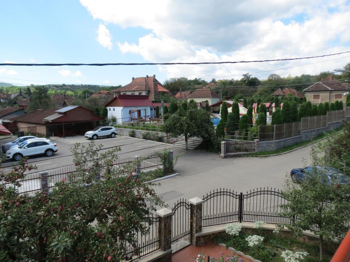 Pensiunea Cetina Brád Kültér fotó