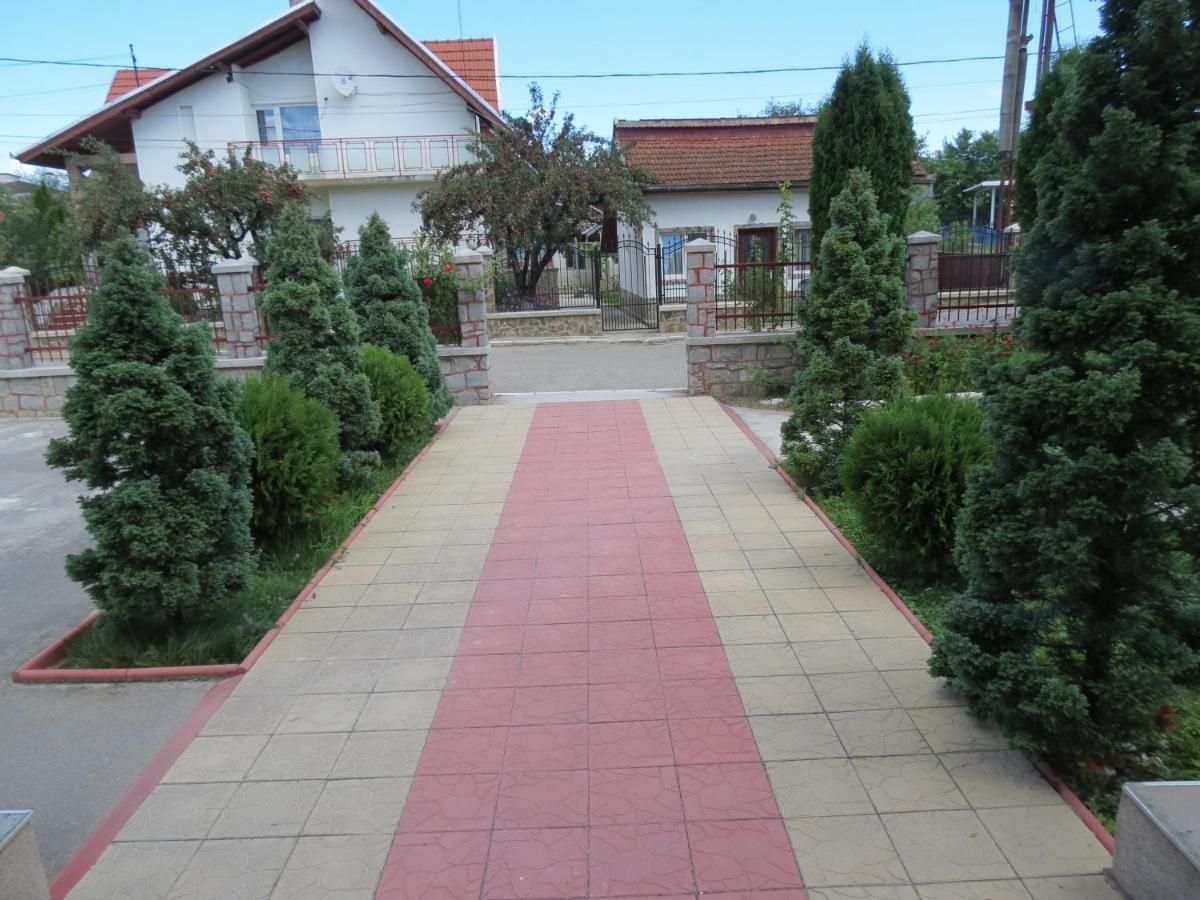 Pensiunea Cetina Brád Kültér fotó