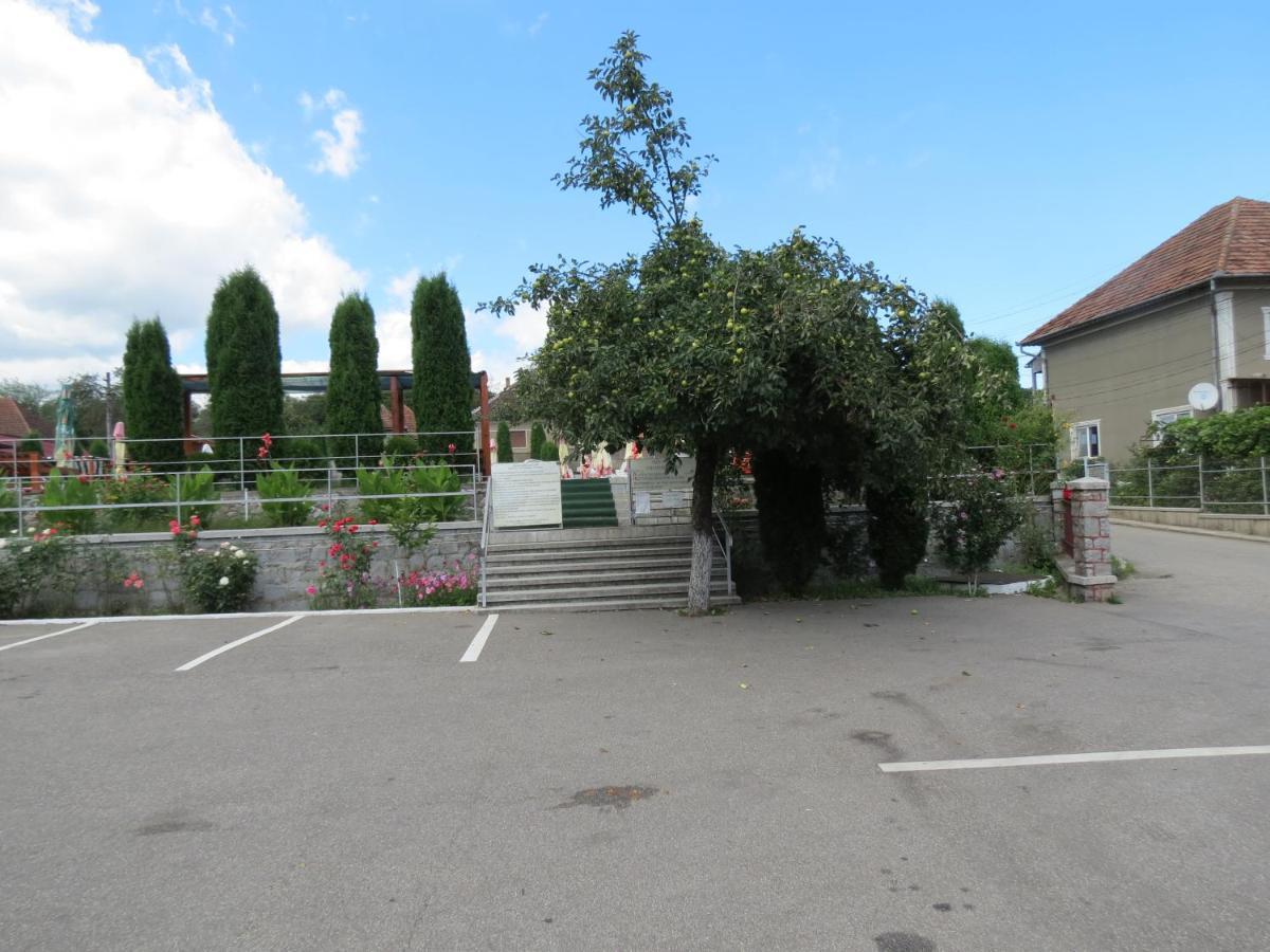 Pensiunea Cetina Brád Kültér fotó