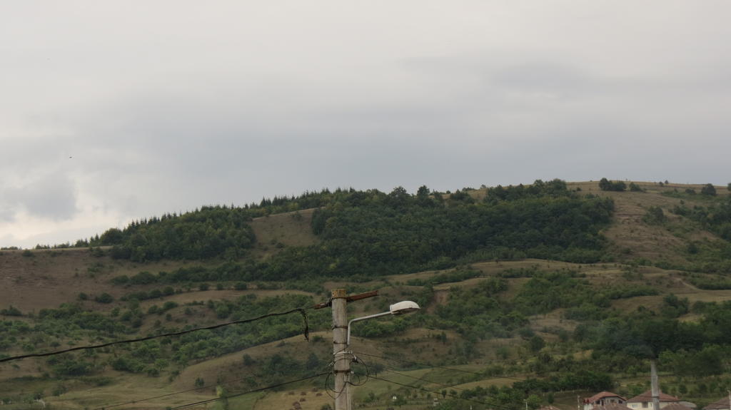 Pensiunea Cetina Brád Kültér fotó